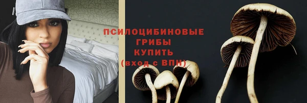 a pvp Аркадак