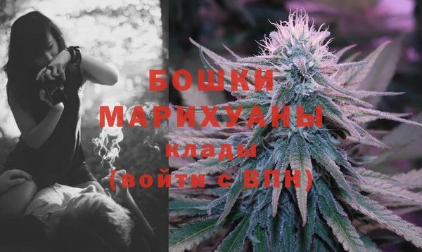 дживик Нягань