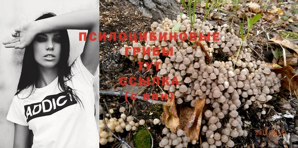 a pvp Аркадак